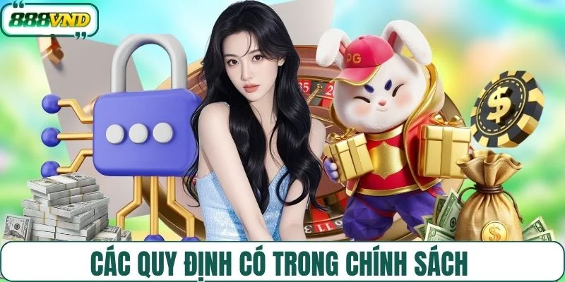 Các quy định có trong chính sách 
